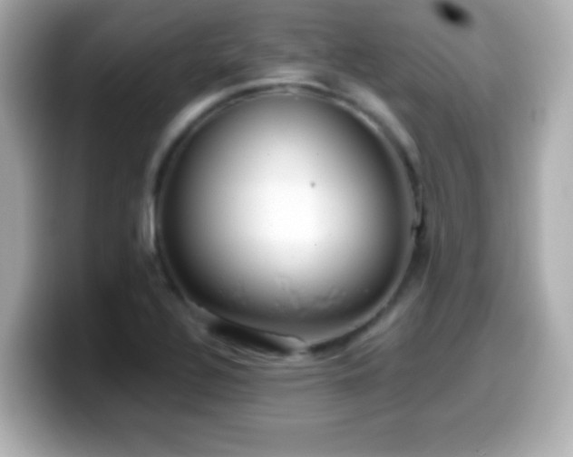 X0000099941320200805231243