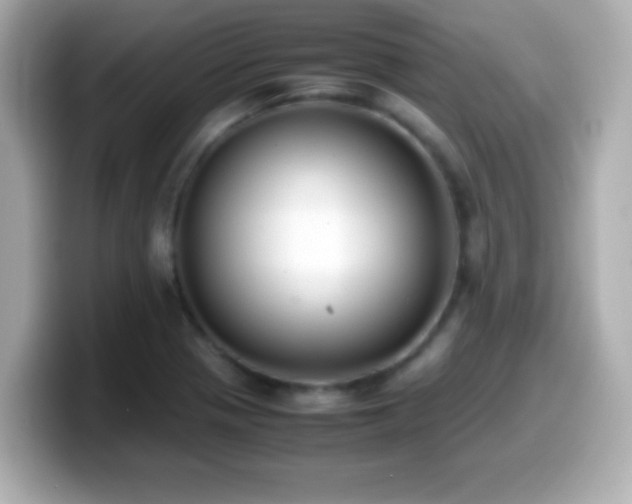 X0000099941321200805231243