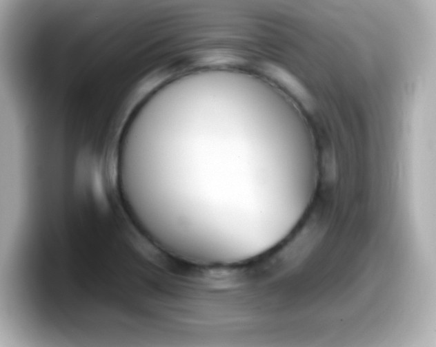 X0000099941322200805231243