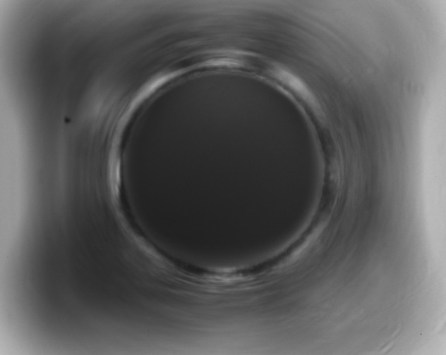 X0000099941323200805231243