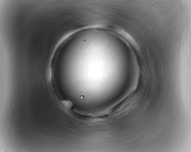 X0000099941324200805231243