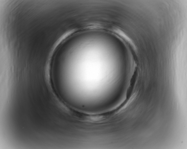 X0000099941325200805231243
