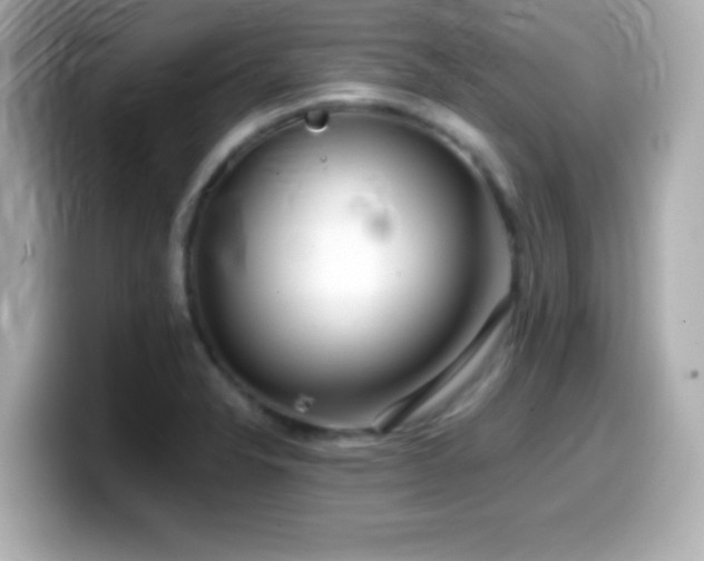 X0000099941326200805231243