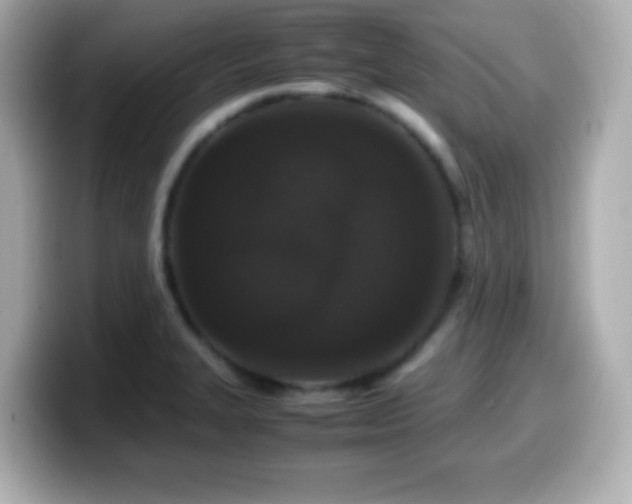 X0000099941327200805231243