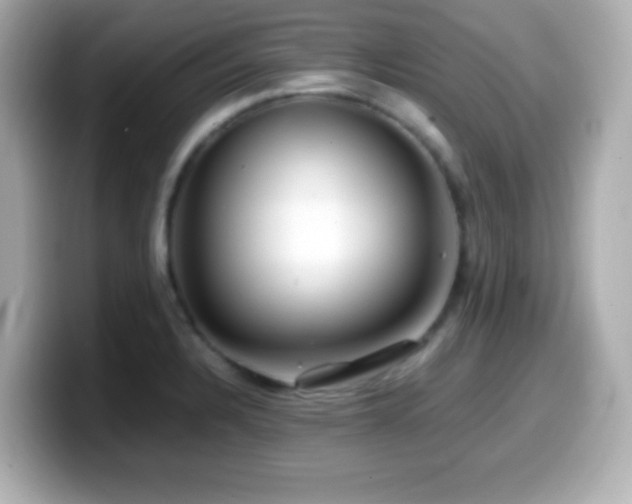 X0000099941328200805231243