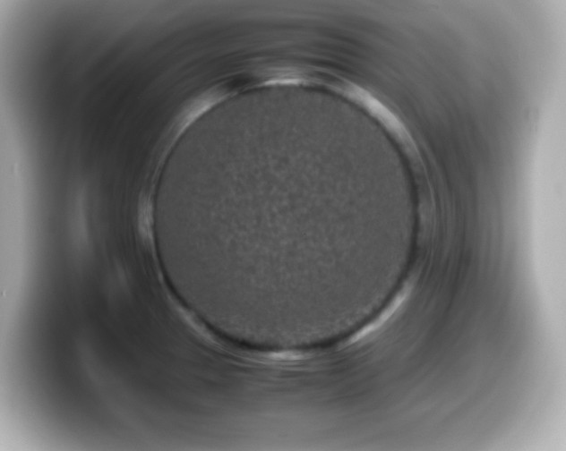 X0000099941329200805231243