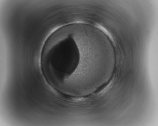 X0000099941331200805231243