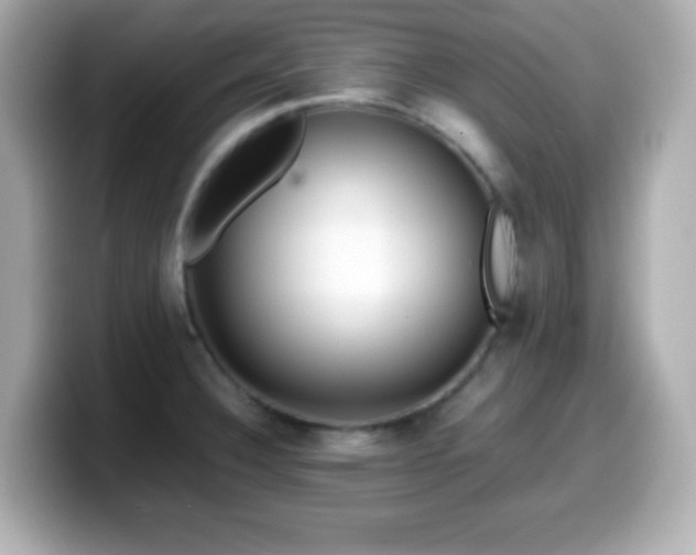 X0000099941332200805231243