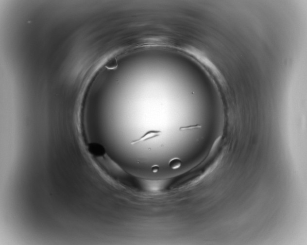 X0000099941333200805231243