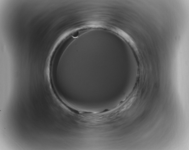 X0000099941334200805231243