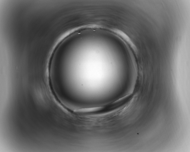 X0000099941335200805231243