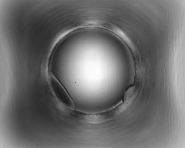 X0000099941336200805231243