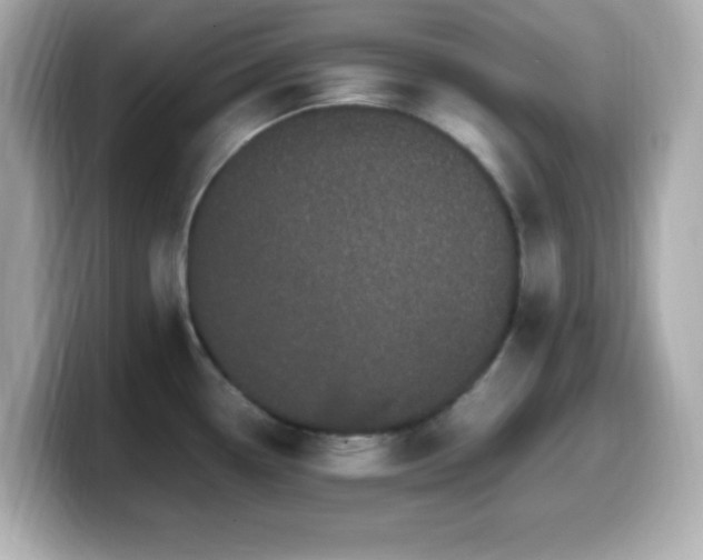 X0000099941338200805231243