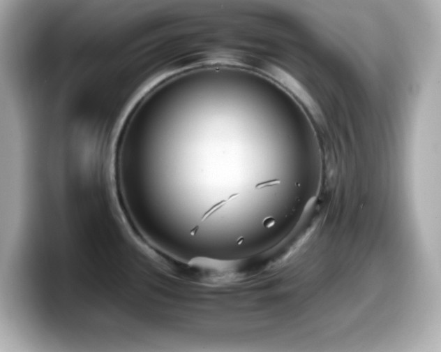 X0000099941339200805231243
