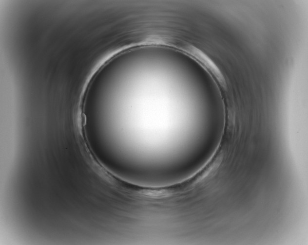 X0000099941340200805231243