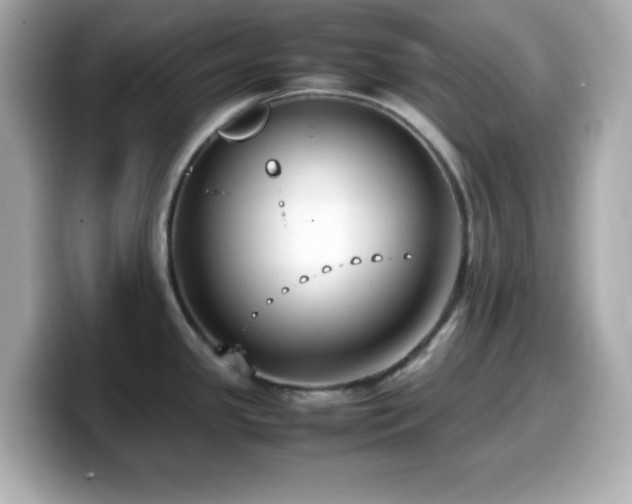 X0000099941341200805231243