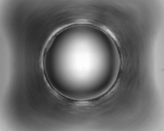 X0000099941342200805231243