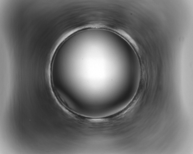 X0000099941343200805231243