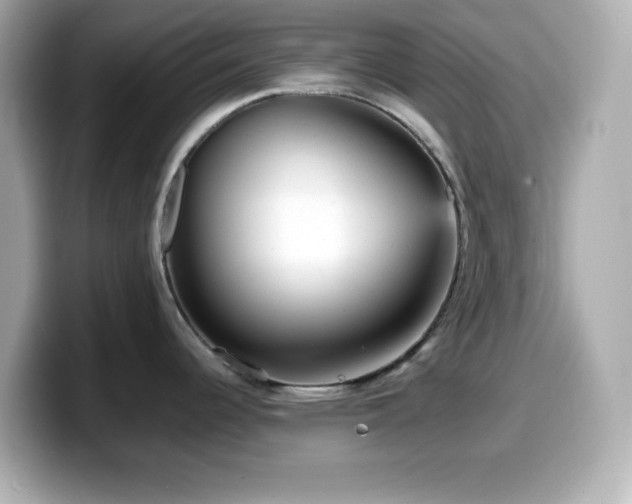 X0000099941344200805231243