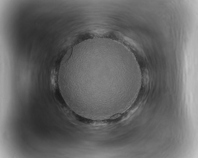 X0000099941346200805231243