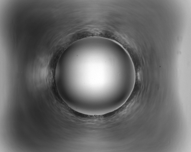 X0000099941347200805231243