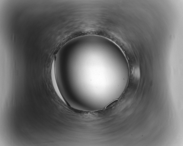 X0000099941348200805231243