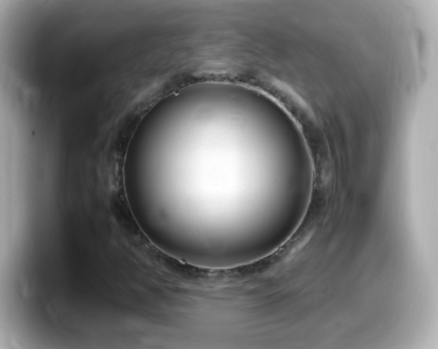 X0000099941350200805231243