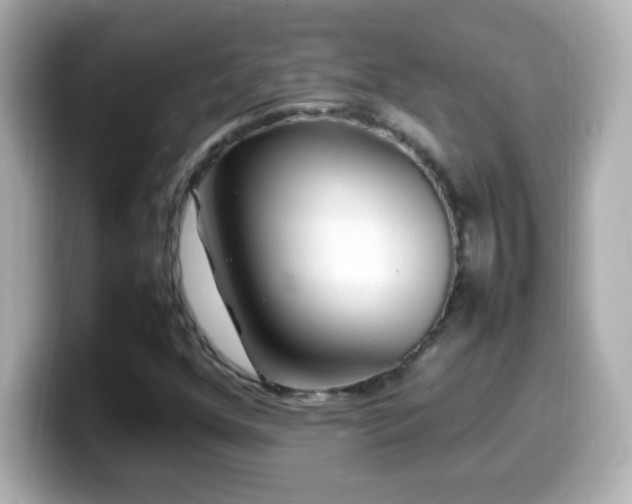 X0000099941352200805231243