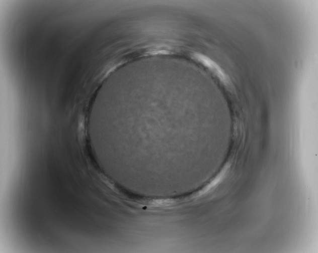 X0000099941353200805231243
