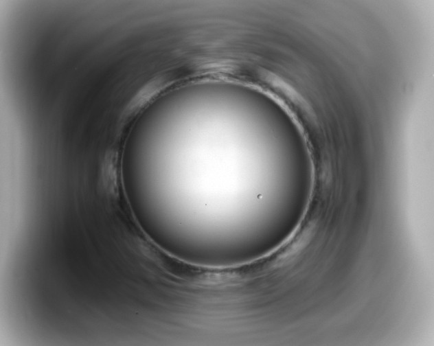 X0000099941354200805231243