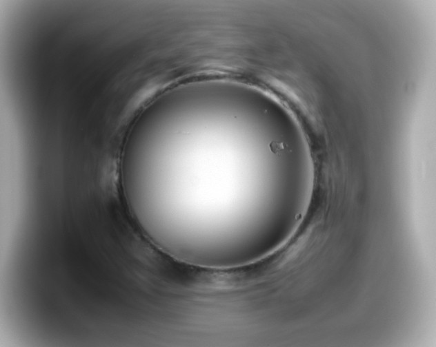 X0000099941355200805231243