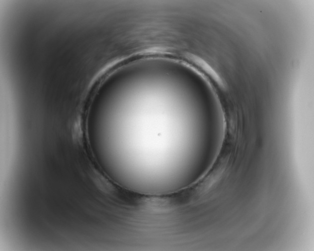X0000099941356200805231243