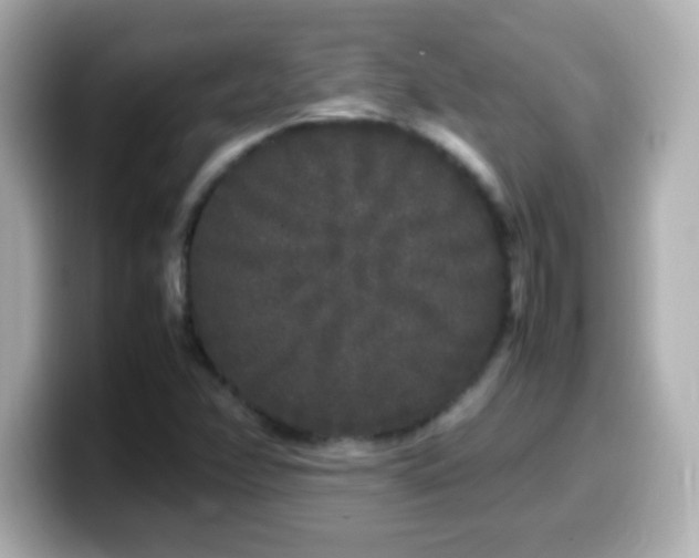 X0000099941358200805231243