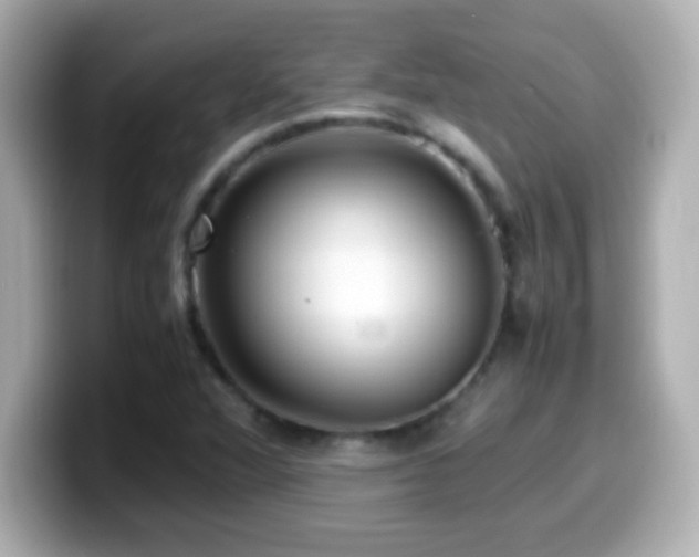X0000099941360200805231243