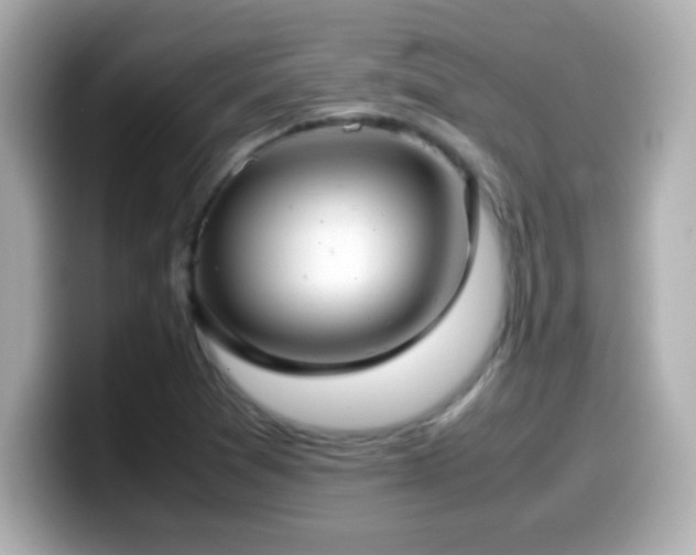 X0000099941361200805231243
