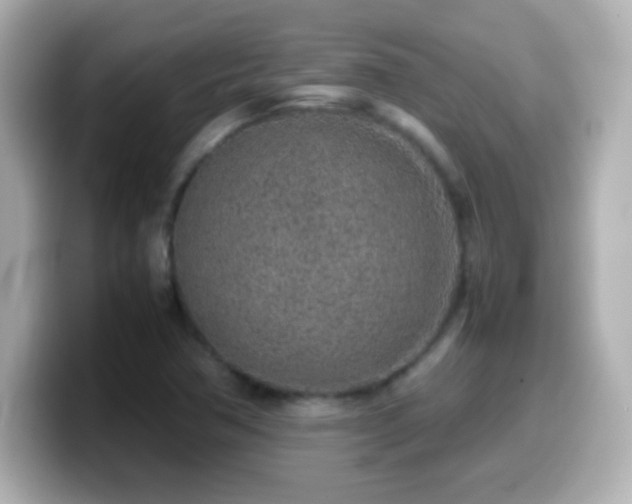X0000099941362200805231243