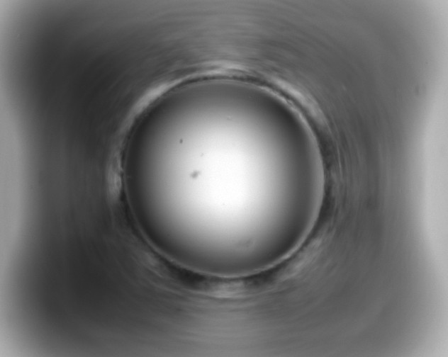 X0000099941363200805231243
