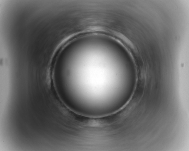 X0000099941364200805231243