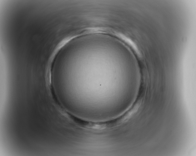 X0000099941365200805231242