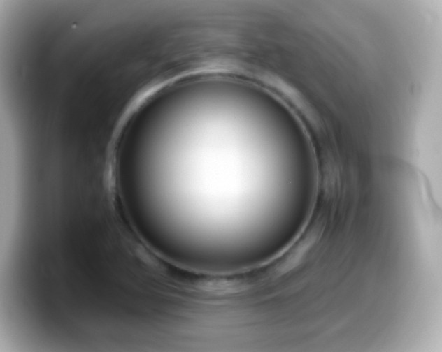 X0000099941366200805231242