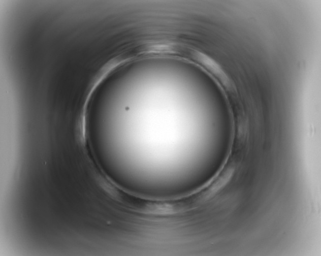 X0000099941370200805231242