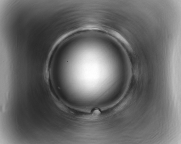 X0000099941372200805231242