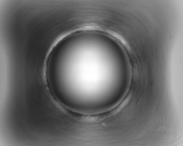 X0000099941374200805231242