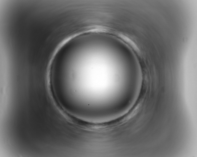 X0000099941375200805231242