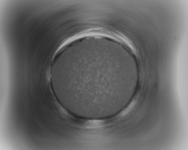 X0000099941377200805231242