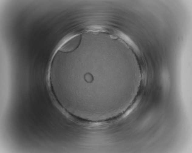 X0000099941378200805231242