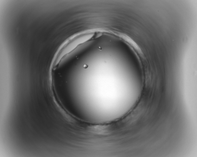 X0000099941380200805231242