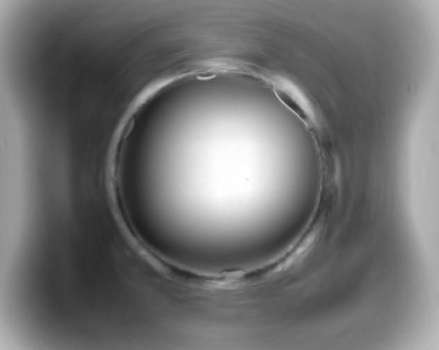 X0000099941381200805231242