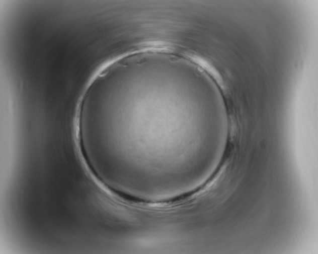 X0000099941383200805231242