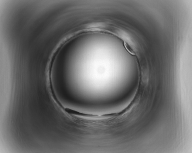 X0000099941384200805231242